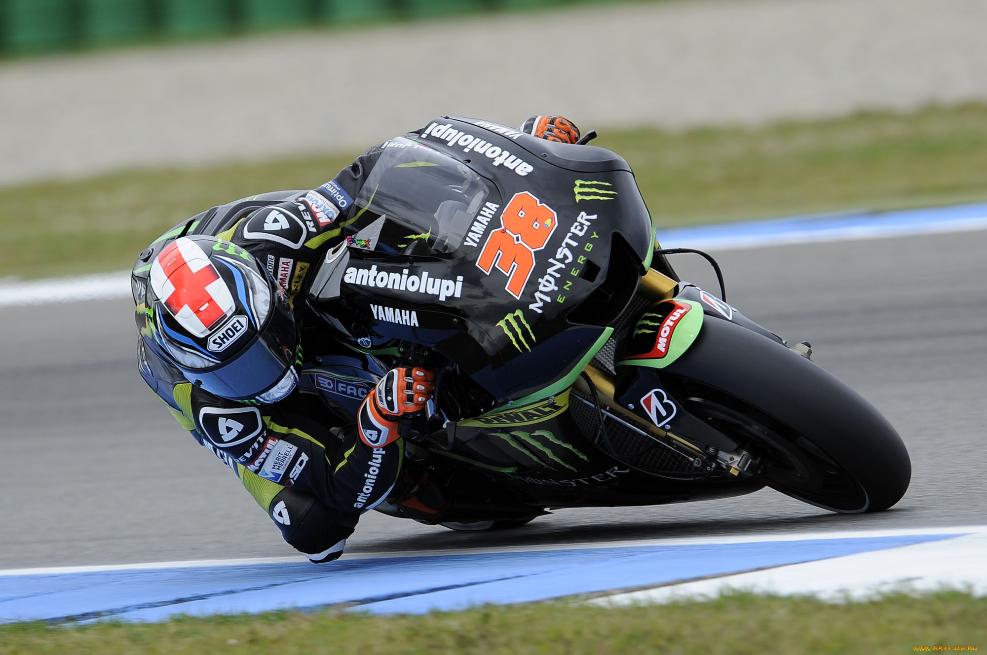 , , motogp, 2013
